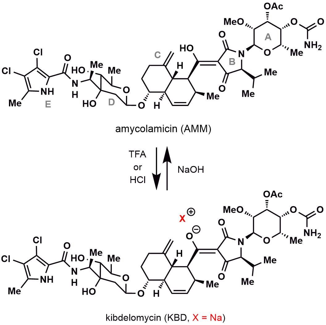 20241009-Angew. Chem-李超-图1. AMM与KBD的化学结构关系》.jpg